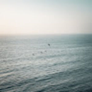 Meet your Posher, Joaquin